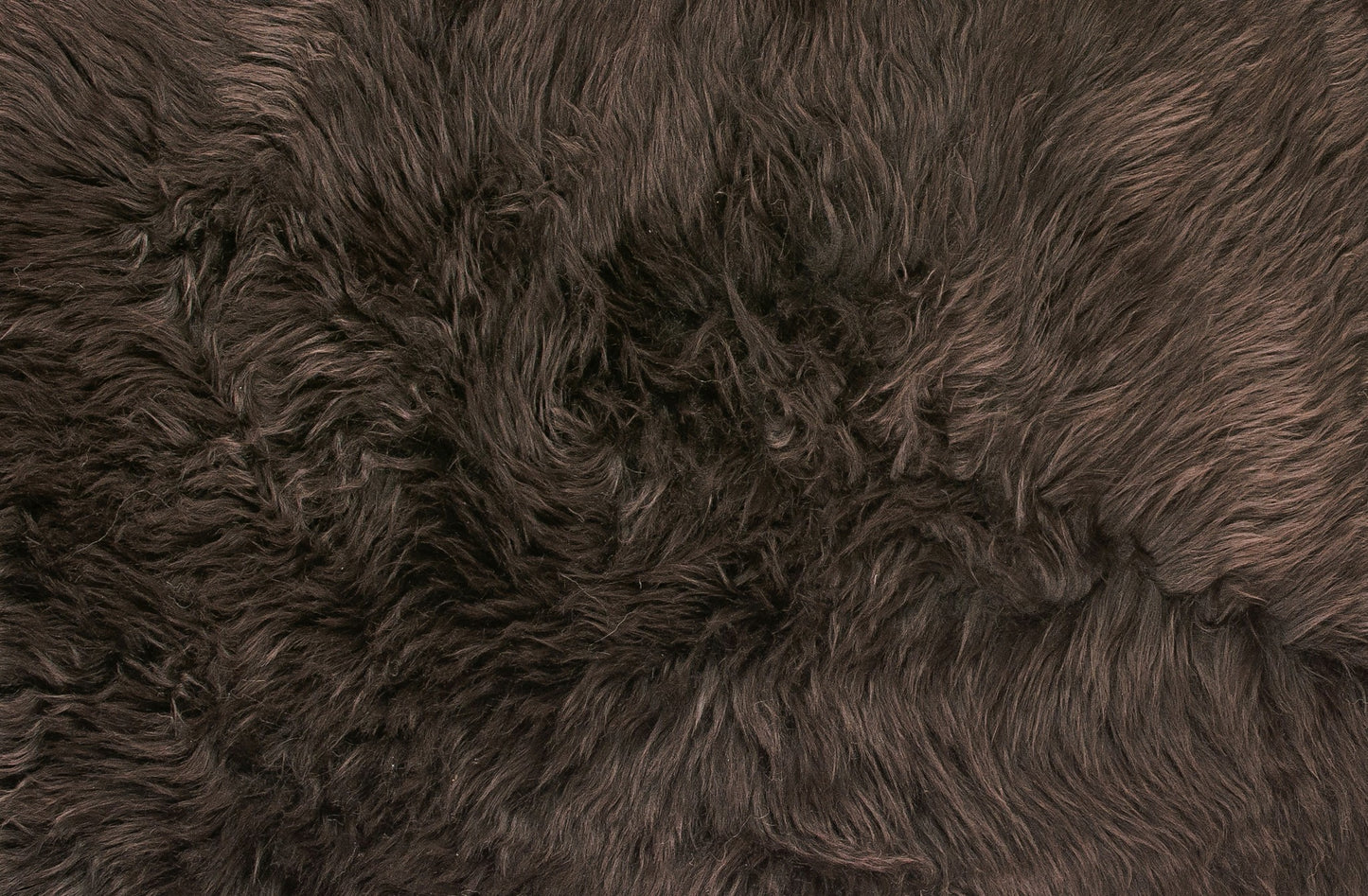 Black Animal Print Area Rug