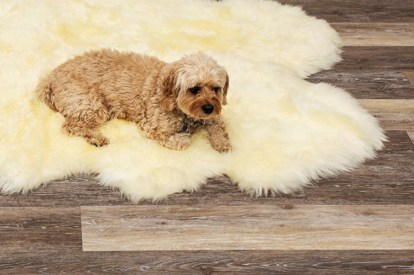 6' X 6' Natural Sheepskin Non Skid Area Rug