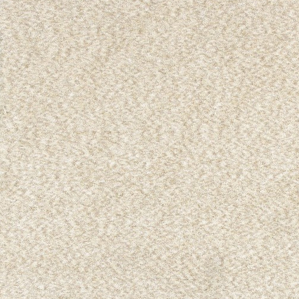 5' X 7' Modern Shag Ivory Indoor Area Rug