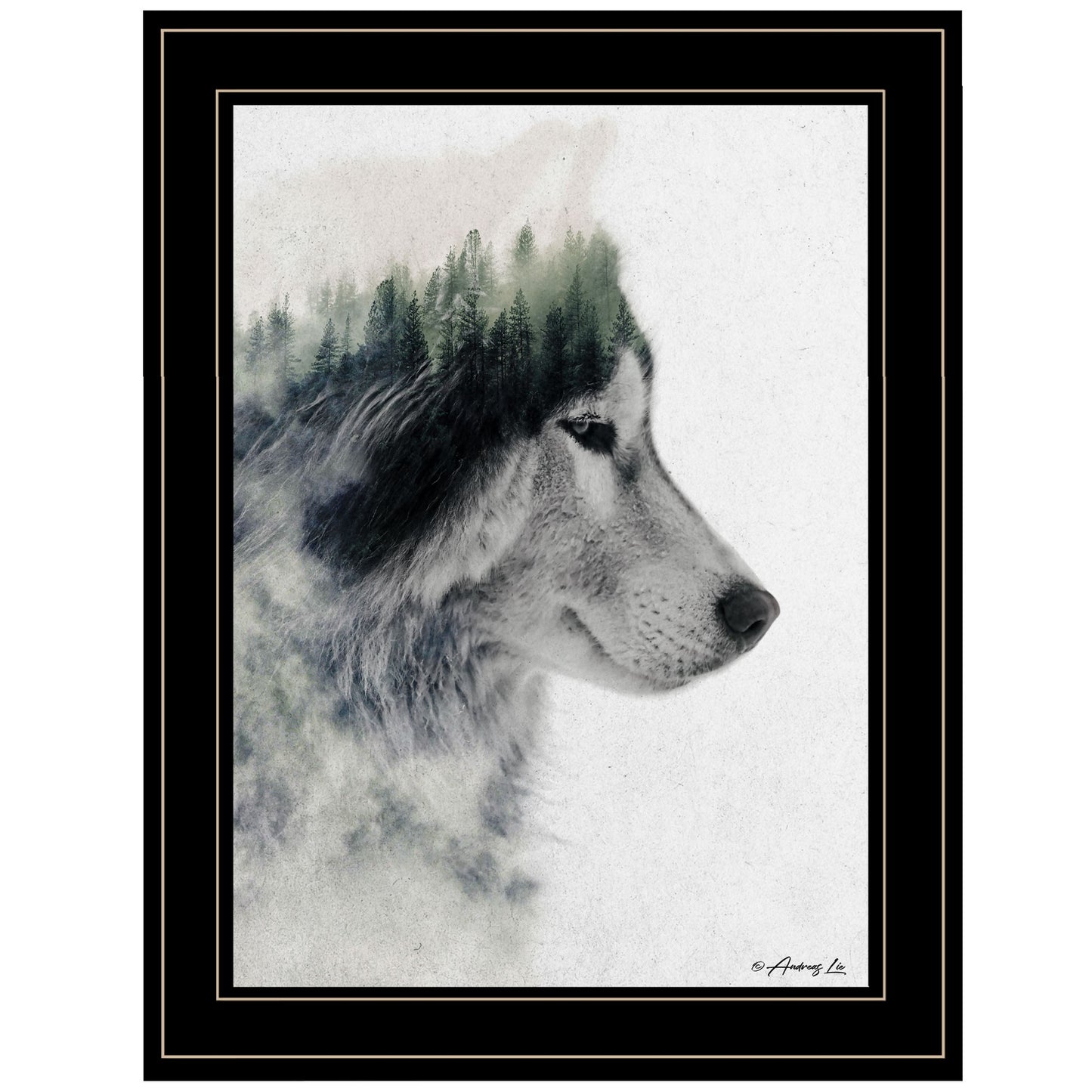 Wolf Stare 2 Black Framed Print Wall Art