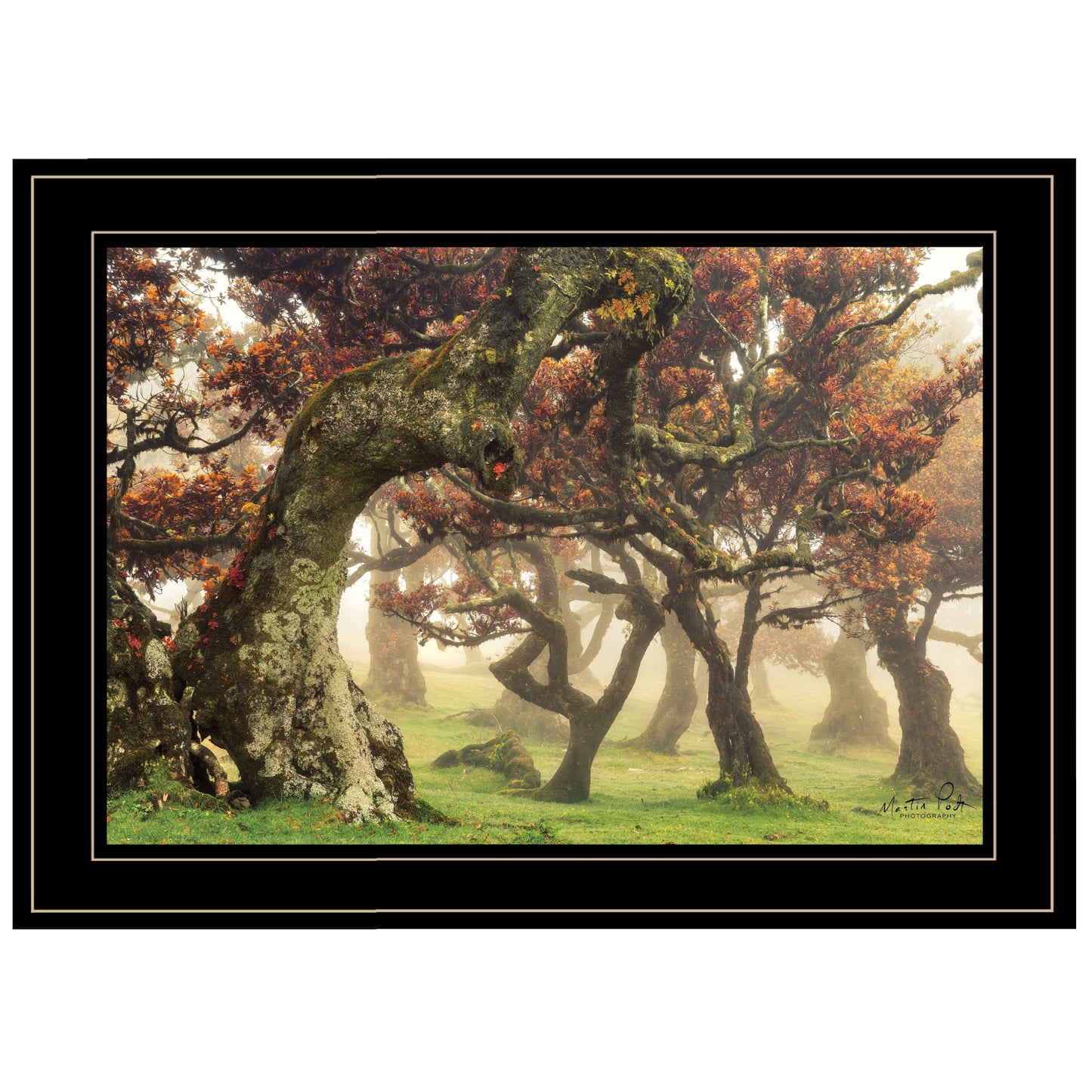 Fanal Martin Podt Ready To Hang Framed Print Black Frame Black Framed Print Wall Art