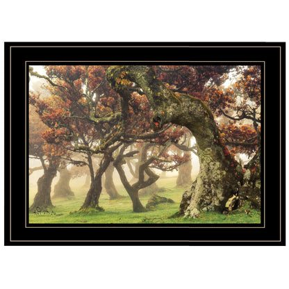Fanal Martin Podt Ready To Hang Framed Print Black Frame Black Framed Print Wall Art
