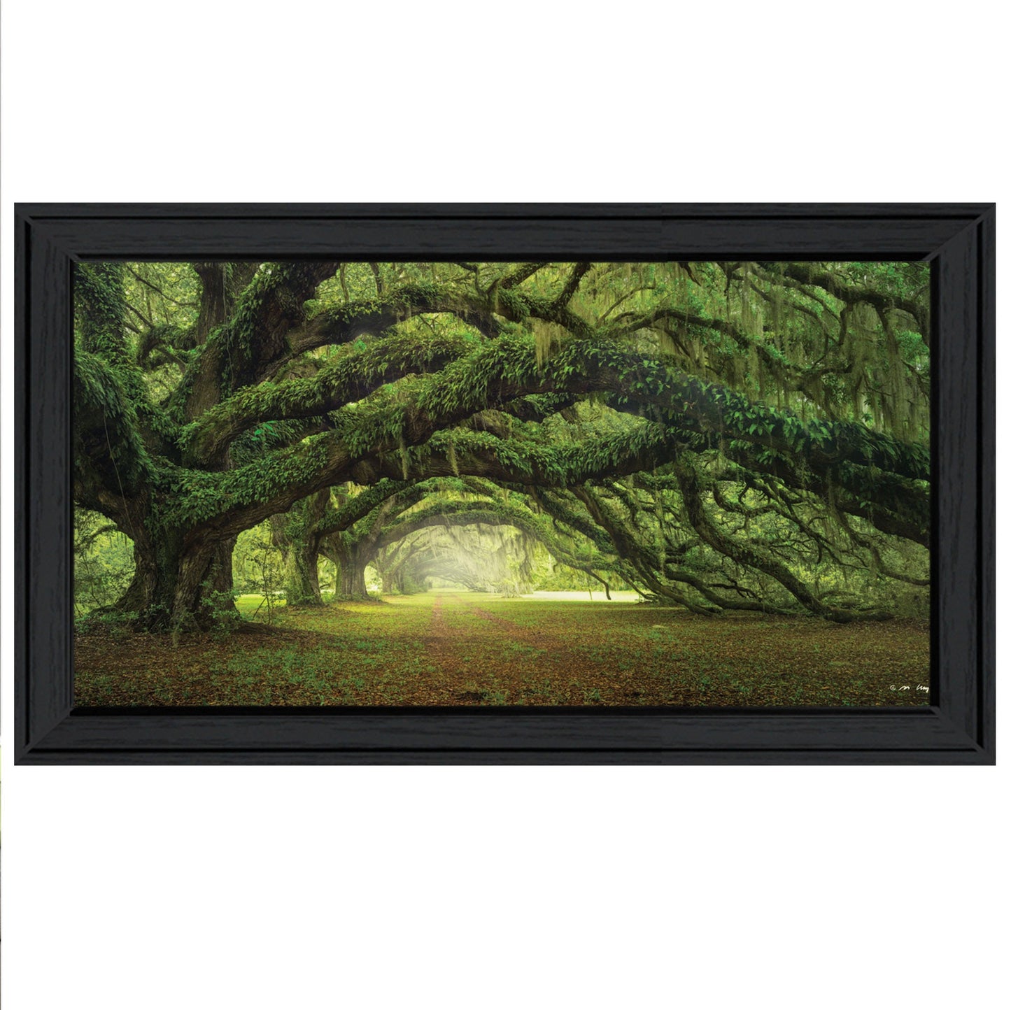 Passage 4 Black Framed Print Wall Art