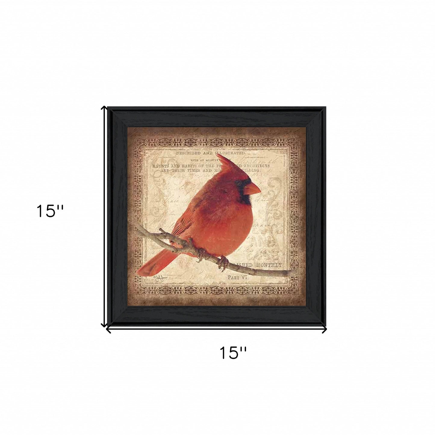 Male Cardinal 2 Black Framed Print Wall Art