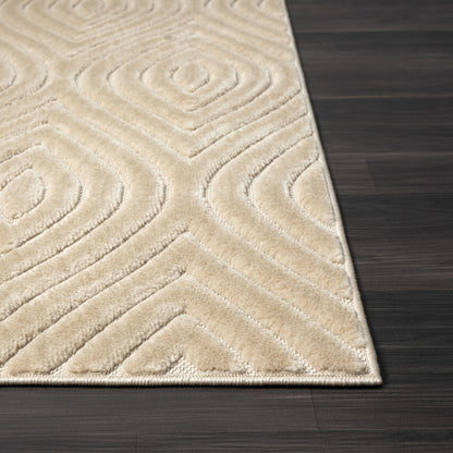 5' X 7' Beige Trellis Area Rug