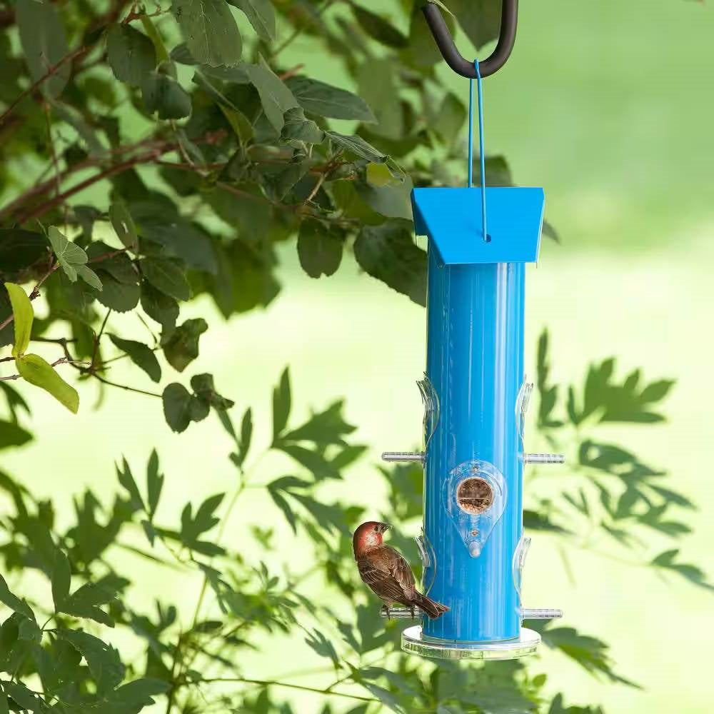 Outdoor Patio Garden 6-Perch Metal Tube Bird Feeder in Blue