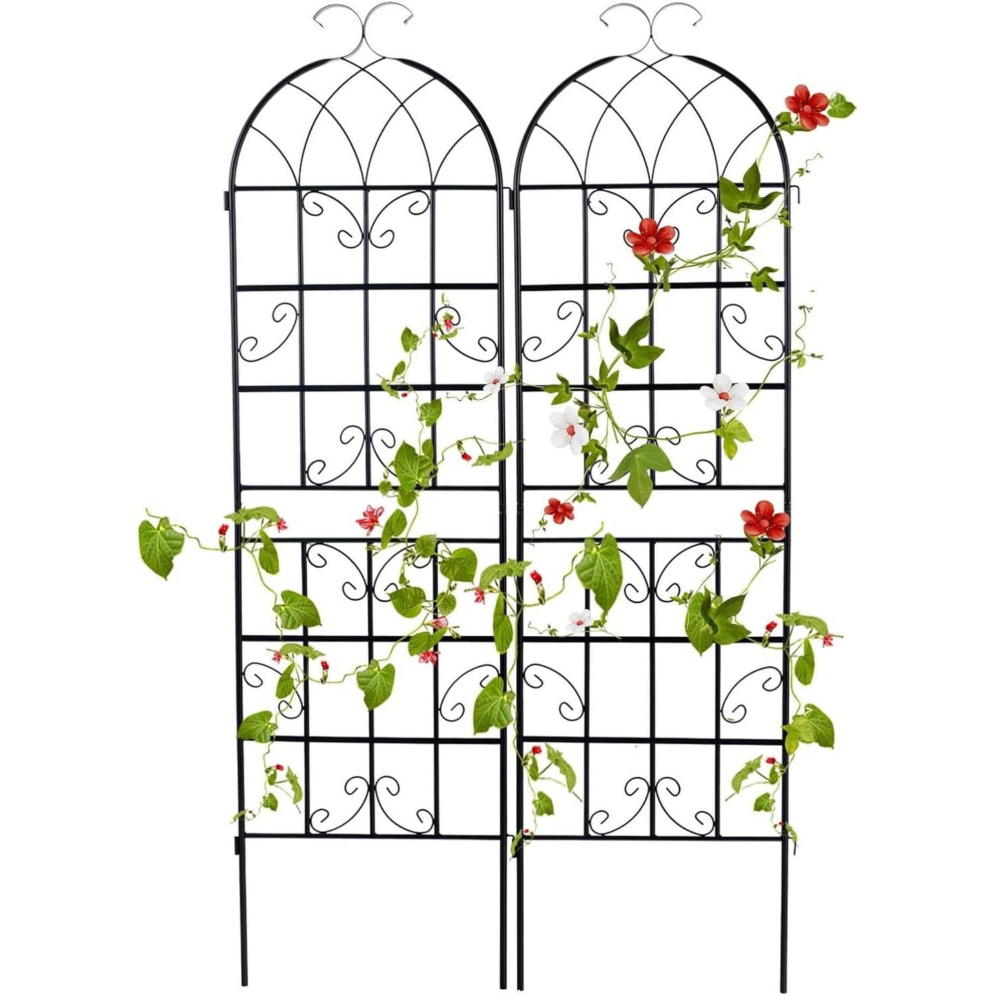 Set of 2 - 6-Ft Heavy Duty Outdoor Galvanized Metal Garden Trellis