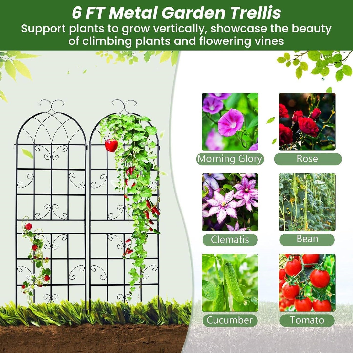 Set of 2 - 6-Ft Heavy Duty Outdoor Galvanized Metal Garden Trellis