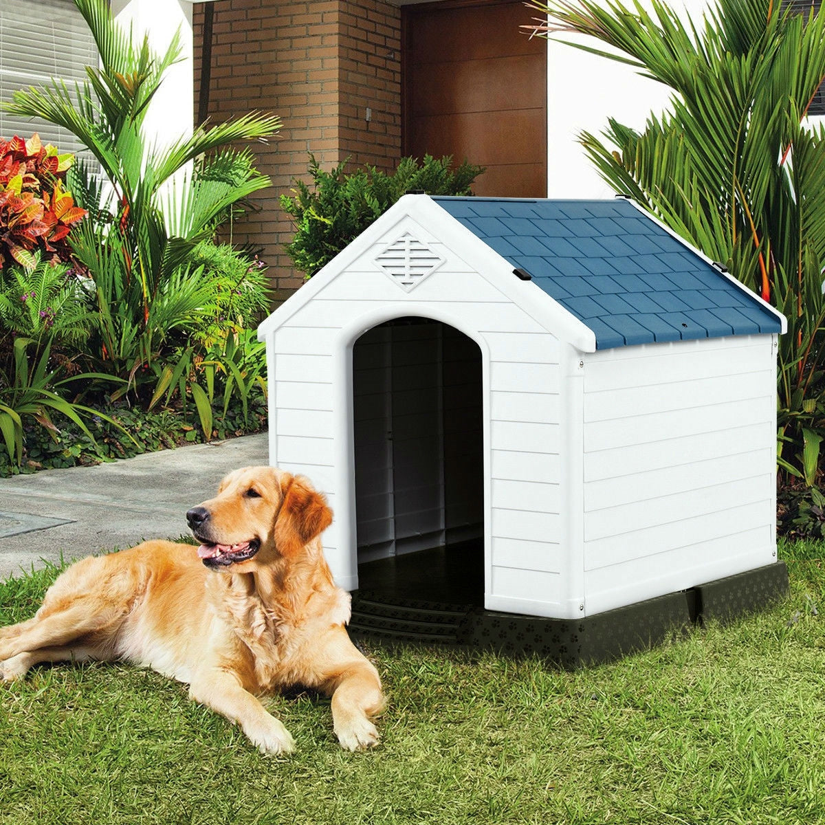 Medium size Dog House Outdoor White Blue Plastic with Elevated Floor