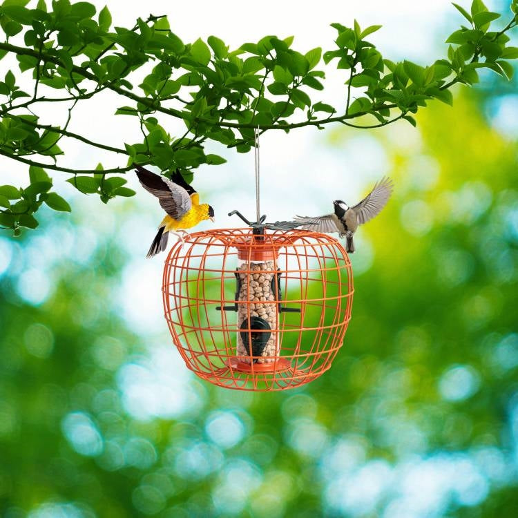 Outdoor Squirrel Resistant Orange Metal Mesh Small Bird Feeder