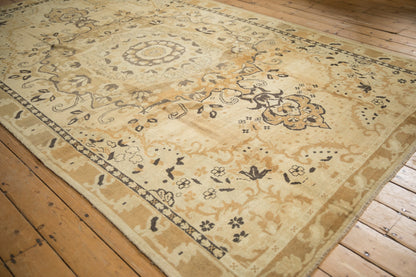7x11.5 Vintage Distressed Kars Carpet